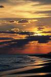 Group-Coaching--Teleconferences Group-Coaching--Teleconferences