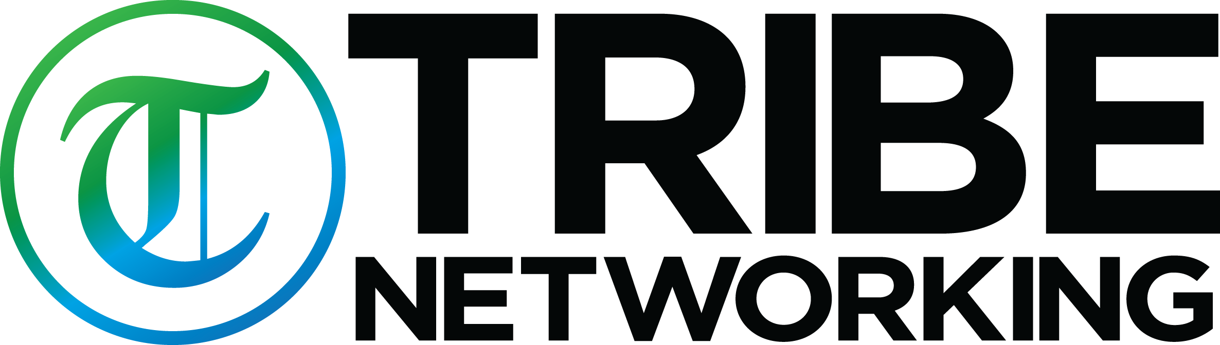 Tribe Networking - Stacked Logo - Color (1)