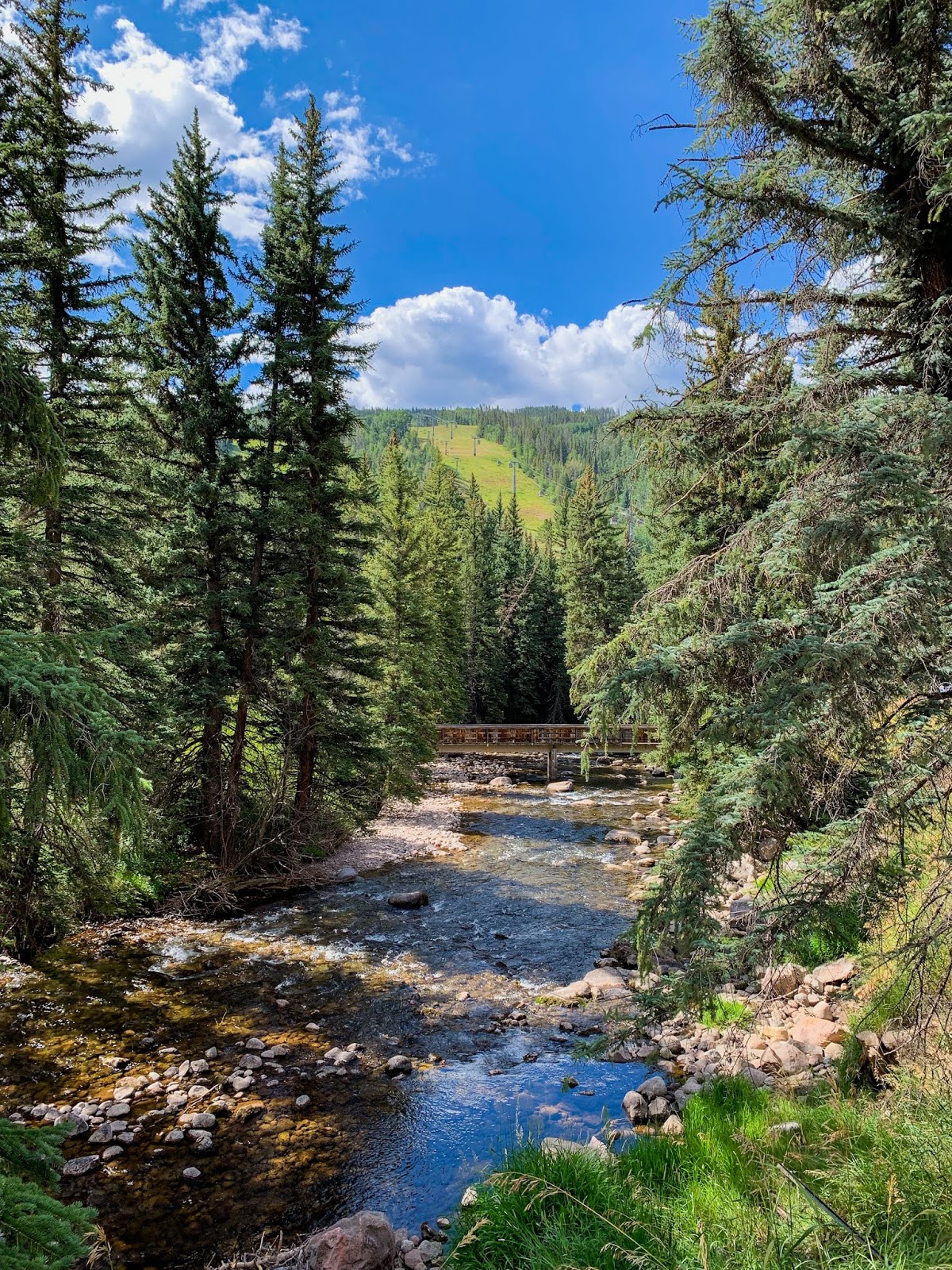Vail summer river